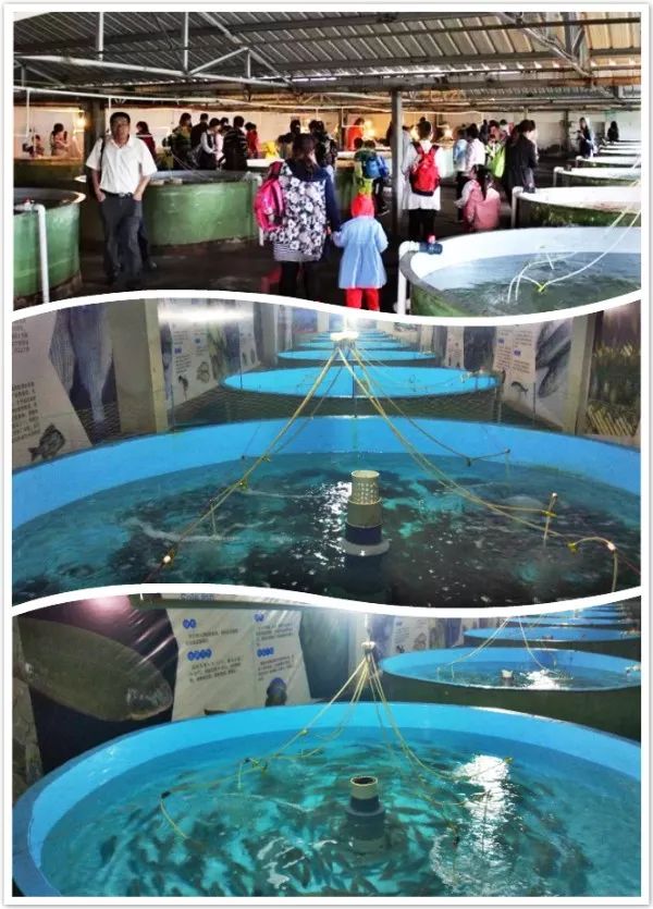 日照順風(fēng)陽光海洋牧場最新游玩攻略 盡享夏日海洋樂趣